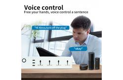 China 10A Current Tuya Wifi Lamp Socket Smart Home Automation Zigbee Outdoor Socket supplier