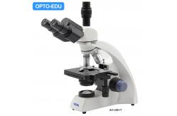 China Teaching OPTO-EDU A11.1531 40X Compound Light Microscope supplier