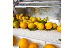 China Tengsheng Multifunctional Bubble Cleaning Machine Scum Removal Vegetable Fruit ginger supplier