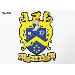 10 Inch Tall Embroidered Badge Patch , Large Morale Back Patches for sale