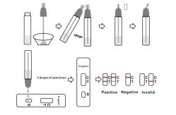 China CE Approved Stool Diagnosis H Pylori Antigen Rapid Test At Home supplier