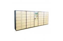 China Cabinet Design Delivery Parcel Collection Lockers With Mixed Door Sizes supplier