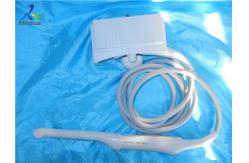 China Siemens Acuson EC-10C5 Endovaginal Ultrasound Transducer Probe supplier