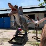 Exhibitions Realistic Animatronic Dinosaur 6m Spinosaurus Model for sale