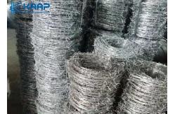 China Modern Concertina Barbed Wire Rust Resistance High Precision  Strong Tensile Strength supplier