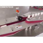 Off Line Bottle Visual Inspection Machine With Auto Rejection & Counting System
