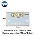 UV Light Module 30W Line Light Source Module Quartz Lens Lamp Beads