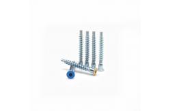 China Customized Hexagonal Socket Screw Countersunk Self Tapping Roller Coaster supplier