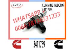China Fuel Injector 4307795 3087733 3095086 3411691 3411759 3411764 3411765 3411766 4307516 3083846 supplier