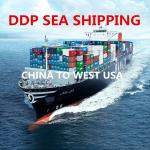 Cargo Duty Included Door To Door FBA Sea Freight for sale