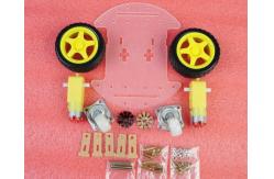China DIY Robot Kit 2WD Smart Car Robot supplier