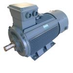 Wind Turbine Permanent Magnet Generator Motor Low Speed for sale