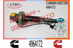 China Fuel Injector Assembly Y431K05417 F00L0J019 4964172 2867147 2882077 For Qsk19 Engine supplier
