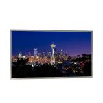 LM215WF3-SLK1 IPS LCD Panel 21.5 Inch RGB 1920X1080 Screen For Gaming Monitor for sale