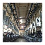 Working Vacuum 50KPa 2.2kw Herringbone Milking Machine For Dairy Farm for sale
