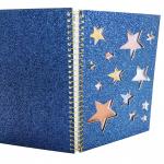 C1S Hardcover Disc Spiral Binding Notebook Planner ODM Shinier Covers for sale
