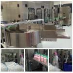 High Precision Bottling Line Equipment Shampoo Filling Machine Line for sale