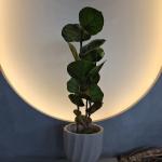 100cm Artificial Coccoloba Tree UV Resistant