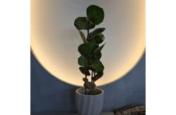 China 100cm Artificial Coccoloba Tree UV Resistant supplier