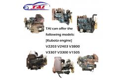 China V2203 Used Diesel Engine Auto Engine Systems Complete Engine Assembly supplier
