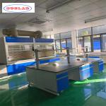 Customizable lab wall benches for laboratories Durability guaranteed