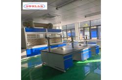 China Customizable lab wall benches for laboratories Durability guaranteed supplier