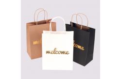 China FSC Biodegradable Custom Logo Paper Bag With Handle supplier