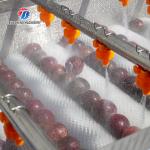 Fruit and vegetable brush bubblecleaning and drying production line