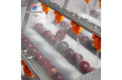 China Fruit and vegetable brush bubblecleaning and drying production line supplier