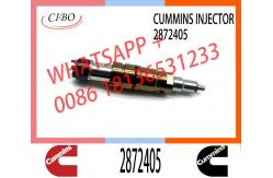 China Fuel Injector Assembly 2872544 2086663 2057401 2872405 203183 Common Rail Injector supplier