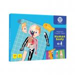 Magnetic Human Body Anatomy Play Set With 48 Magnetic Pieces And Storage Box for sale