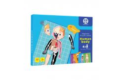 China Body Structure Anatomy Montessori Jigsaw Puzzles For Kids Preschool Learning supplier