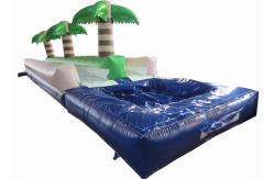 China Palm trees slope inflatable water slide 2017 China inflatable water slide with pool supplier