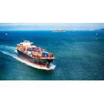 MATSON COSCO Customs Brokerage & Clearance Professional Customs Clearance Agent for sale