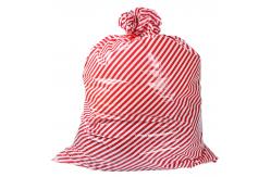 China Large Reusable 50 Microns Custom Plastic Gift Bags For Holiday supplier