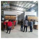 Industrial Wood Veneer Dryer For Heavy Duty Production Requirements for sale