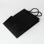 Paperboard Black Custom Paper Shopping Bag With Soft Handle