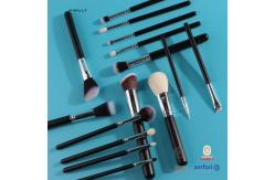 China Black Powder Makeup Brushes Set With Foundation Eyeshadow Fluffy supplier