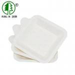 Biodegradable bagasse pulp disposable birthday party dishes for sale