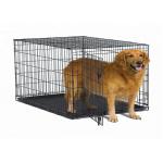 5x10x6ft 1kg Galvanized Steel Dog Kennel Crate for sale