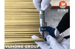 China EN12449 CuZn20Al2As C68700 Brass Seamless Tube for Power Plants Condenser supplier