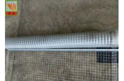 China Gray Plastic Poultry Nets, Plastic Poultry Netting, 1M High, 30M Length, Garden Mesh supplier