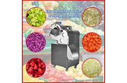 China Multifunctional Fruit And Vegetable Cutter Machine supplier