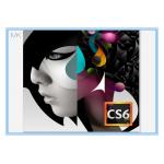 China Online Activation  CS6 Design Key Code 8.5GB For Windows for sale