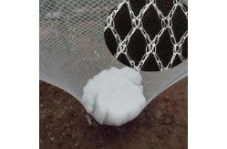 China Protective Sleeve Anti Hail Net For Apple Tree Anti Hail Guard Net supplier