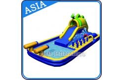 China Outdoor  Inflatable Water Park Slide With Swimming Pool , Inflatable Aviva Water Park supplier