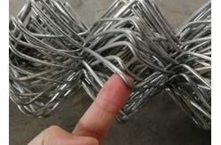 China 1 Inch Galvanize Chain Link Fence Hook Mesh Farm supplier