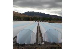 China Dyed Pattern Agriculture Non Woven Cover Virgin Spnbond Macro Tunel Width 6.4m supplier