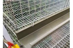 China Wire Mesh Layer Commercial Quail Cage For Quail Farming 1.8m Length supplier