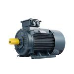 AC Permanent Magnet Electric Motor for sale